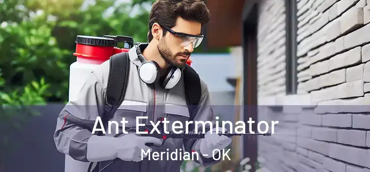  Ant Exterminator Meridian - OK