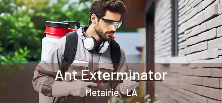Ant Exterminator Metairie - LA