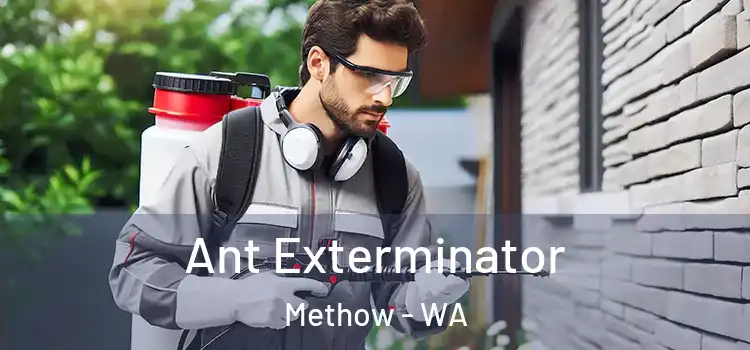  Ant Exterminator Methow - WA
