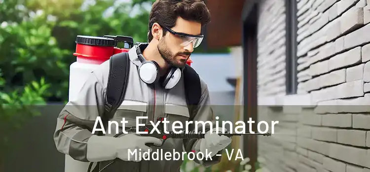 Ant Exterminator Middlebrook - VA
