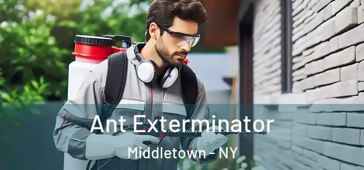  Ant Exterminator Middletown - NY