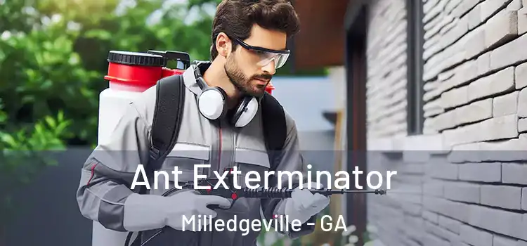  Ant Exterminator Milledgeville - GA