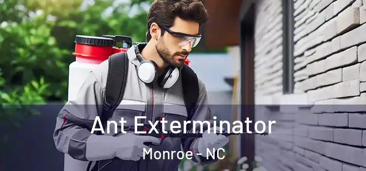  Ant Exterminator Monroe - NC