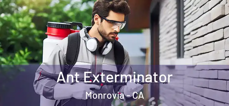 Ant Exterminator Monrovia - CA