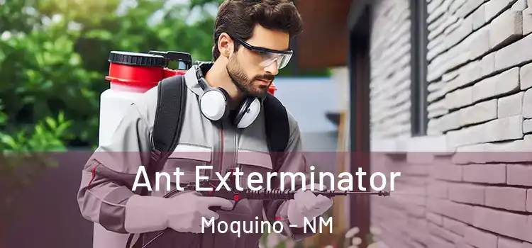 Ant Exterminator Moquino - NM