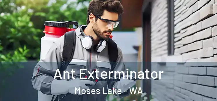 Ant Exterminator Moses Lake - WA