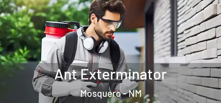 Ant Exterminator Mosquero - NM