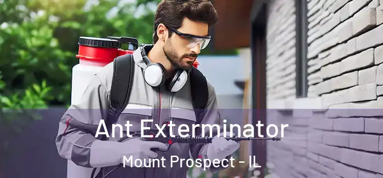  Ant Exterminator Mount Prospect - IL