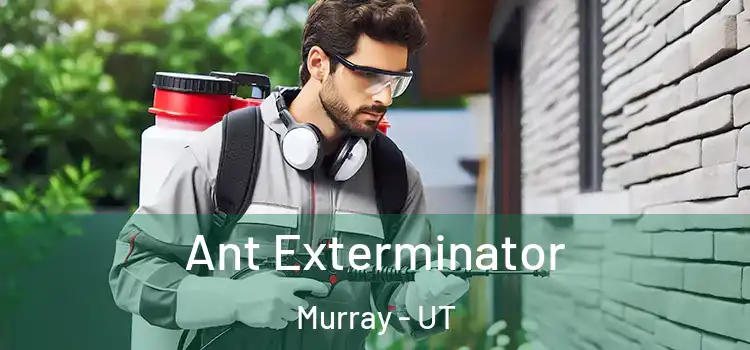  Ant Exterminator Murray - UT
