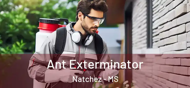  Ant Exterminator Natchez - MS