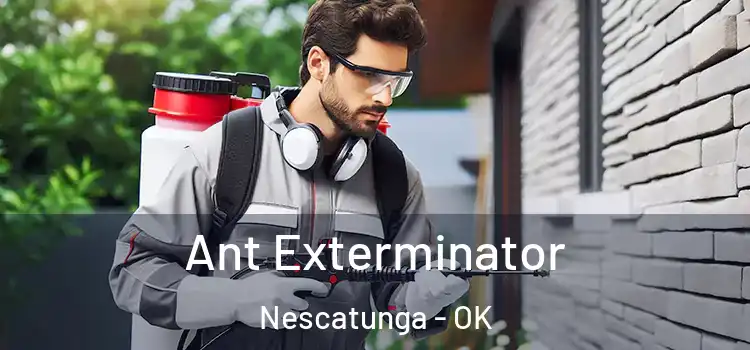  Ant Exterminator Nescatunga - OK