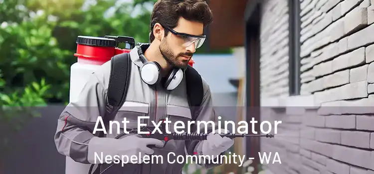  Ant Exterminator Nespelem Community - WA