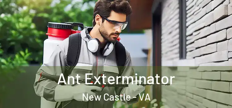 Ant Exterminator New Castle - VA