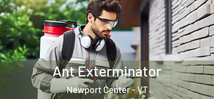  Ant Exterminator Newport Center - VT