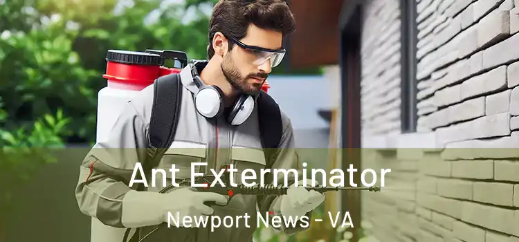 Ant Exterminator Newport News - VA