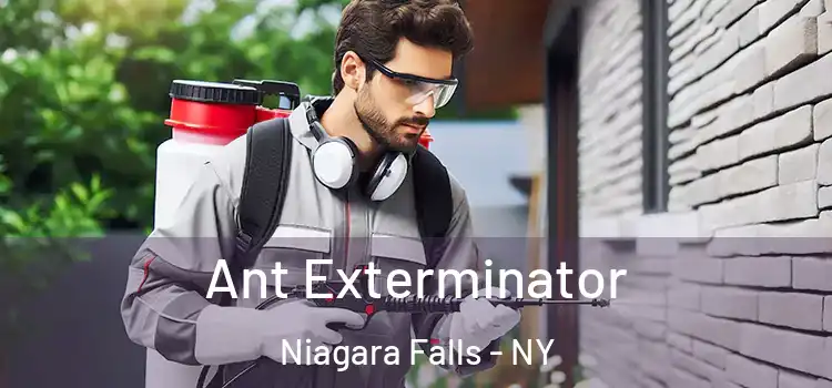  Ant Exterminator Niagara Falls - NY