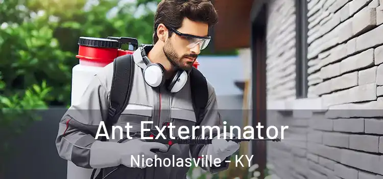  Ant Exterminator Nicholasville - KY