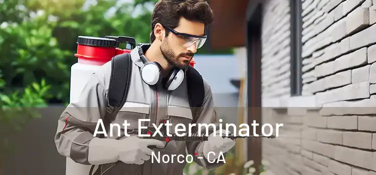 Ant Exterminator Norco - CA