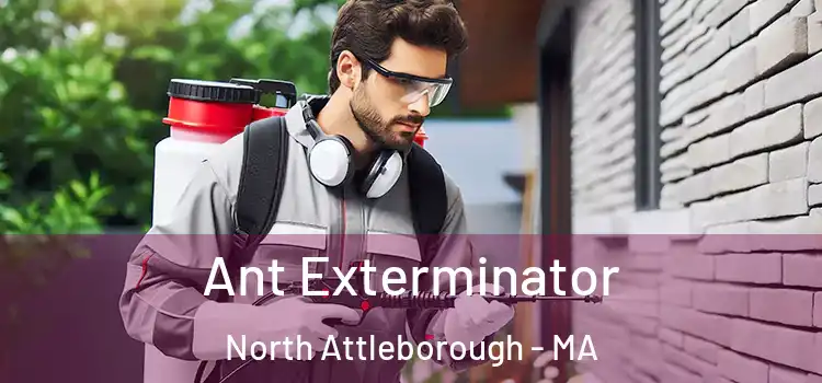 Ant Exterminator North Attleborough - MA
