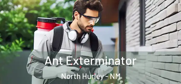 Ant Exterminator North Hurley - NM
