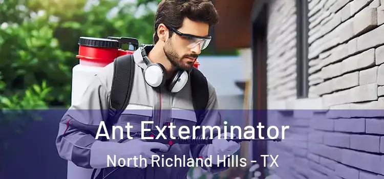 Ant Exterminator North Richland Hills - TX