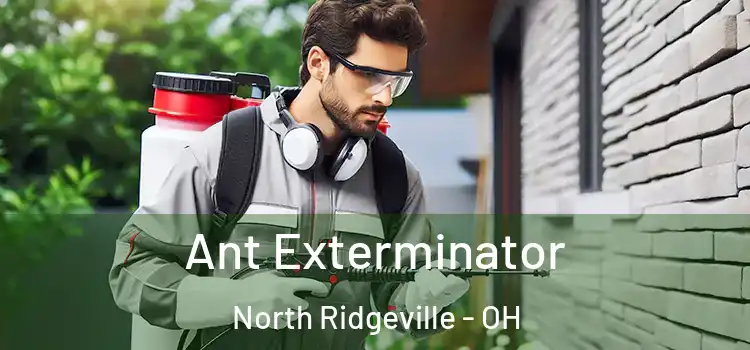 Ant Exterminator North Ridgeville - OH