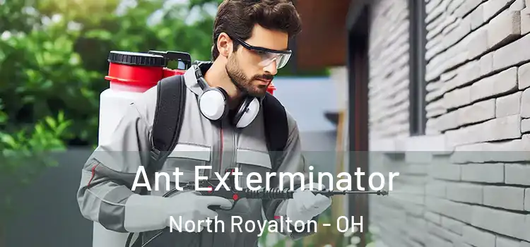 Ant Exterminator North Royalton - OH