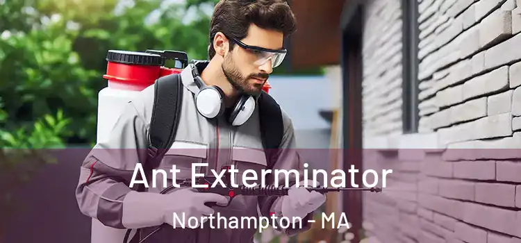  Ant Exterminator Northampton - MA