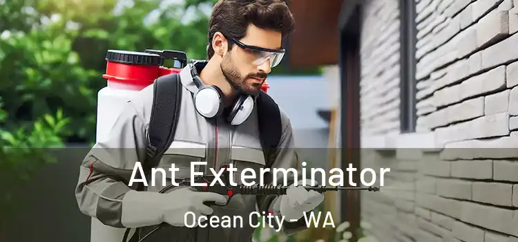  Ant Exterminator Ocean City - WA