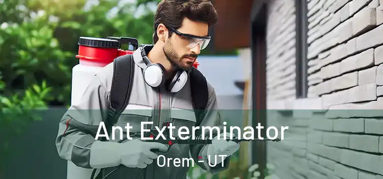  Ant Exterminator Orem - UT