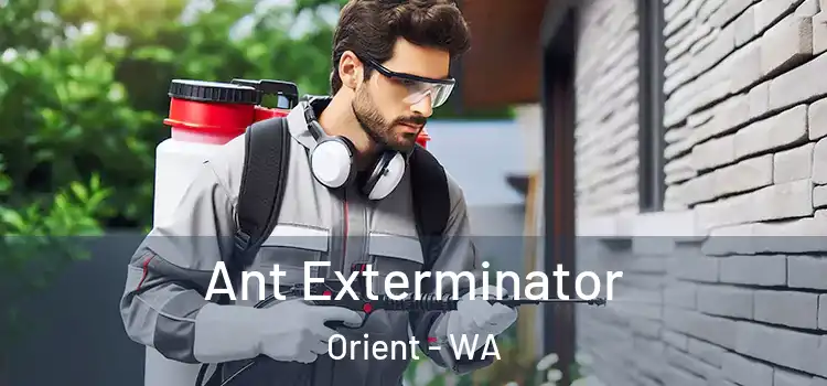  Ant Exterminator Orient - WA