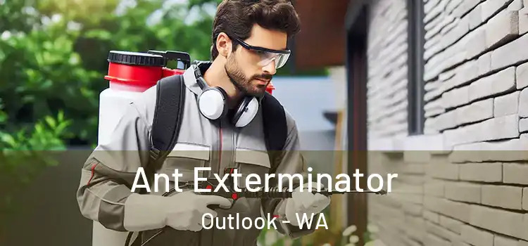  Ant Exterminator Outlook - WA