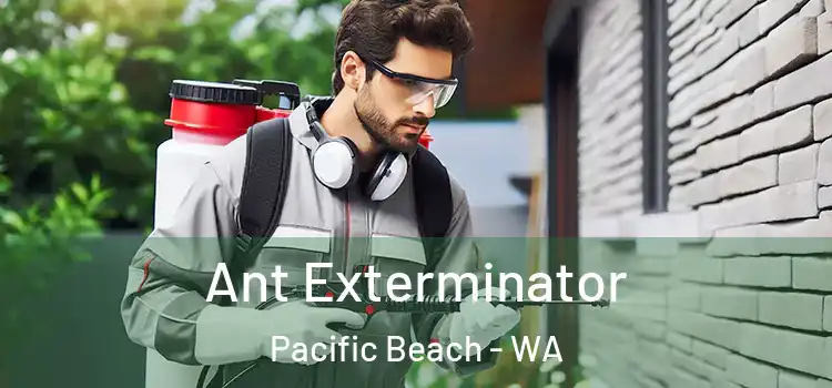  Ant Exterminator Pacific Beach - WA