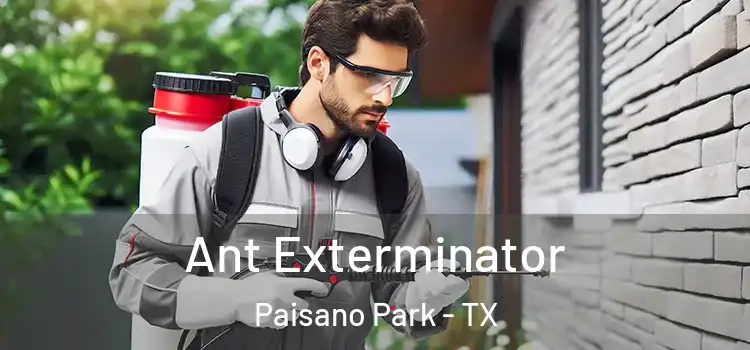  Ant Exterminator Paisano Park - TX