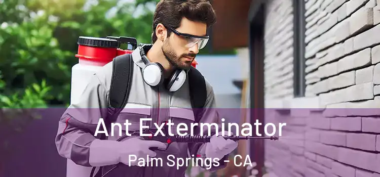 Ant Exterminator Palm Springs - CA