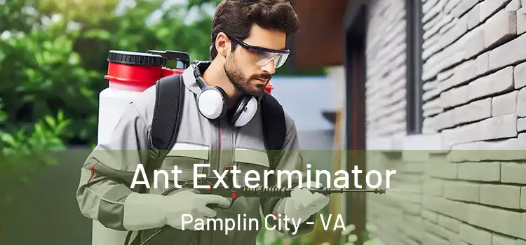 Ant Exterminator Pamplin City - VA
