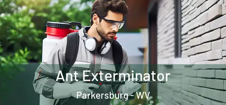  Ant Exterminator Parkersburg - WV