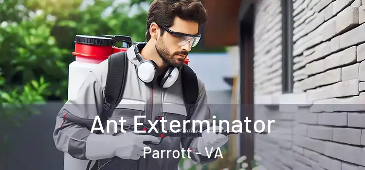 Ant Exterminator Parrott - VA