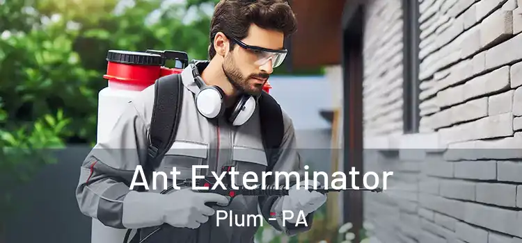 Ant Exterminator Plum - PA