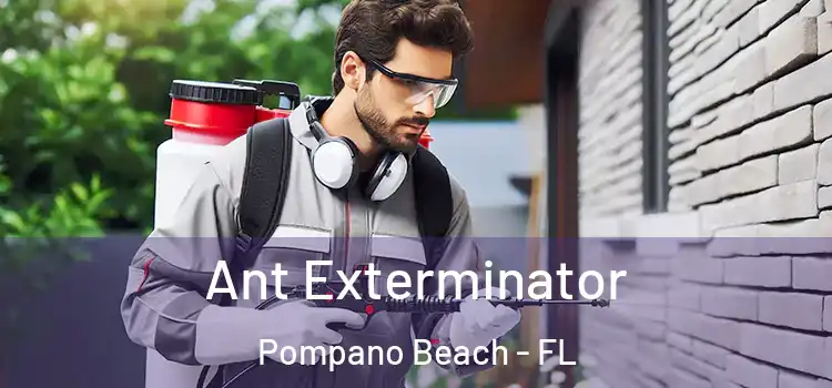 Ant Exterminator Pompano Beach - FL