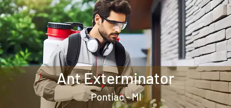  Ant Exterminator Pontiac - MI