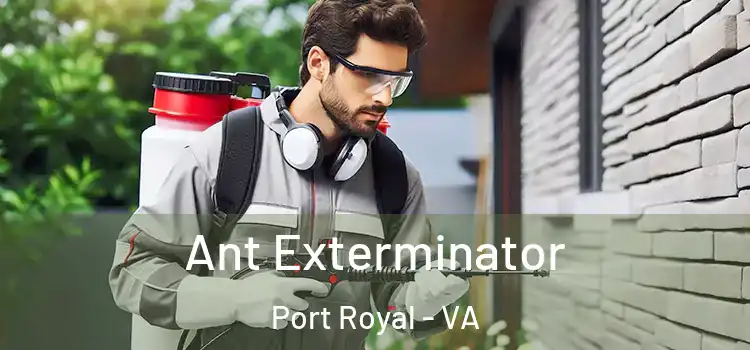 Ant Exterminator Port Royal - VA