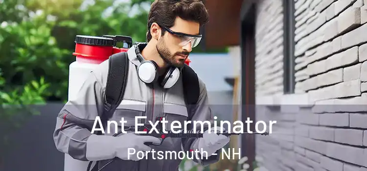 Ant Exterminator Portsmouth - NH