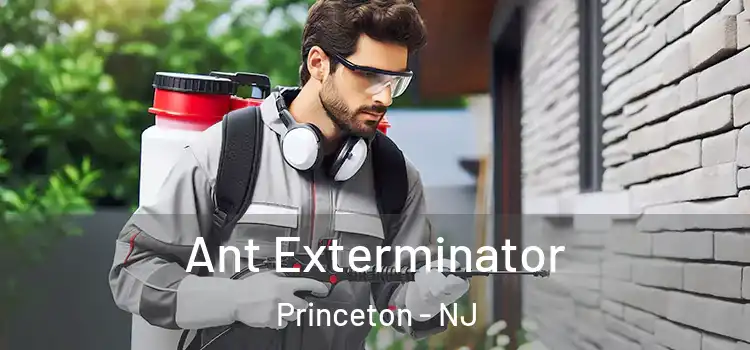 Ant Exterminator Princeton - NJ