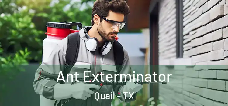  Ant Exterminator Quail - TX