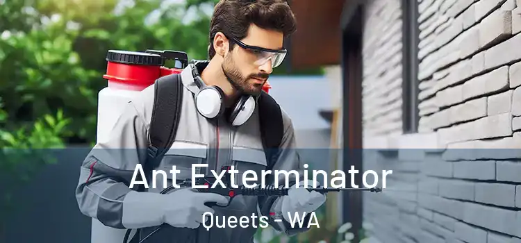  Ant Exterminator Queets - WA