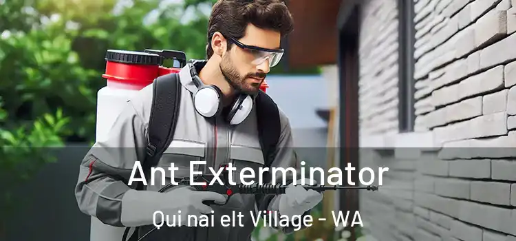  Ant Exterminator Qui nai elt Village - WA