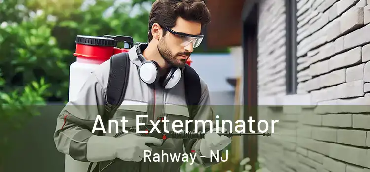Ant Exterminator Rahway - NJ