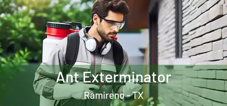  Ant Exterminator Ramireno - TX