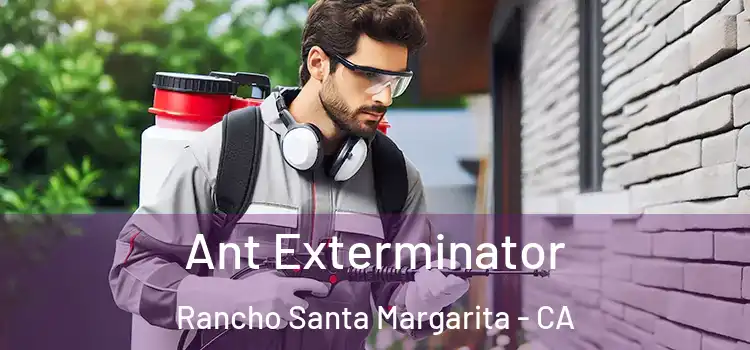 Ant Exterminator Rancho Santa Margarita - CA